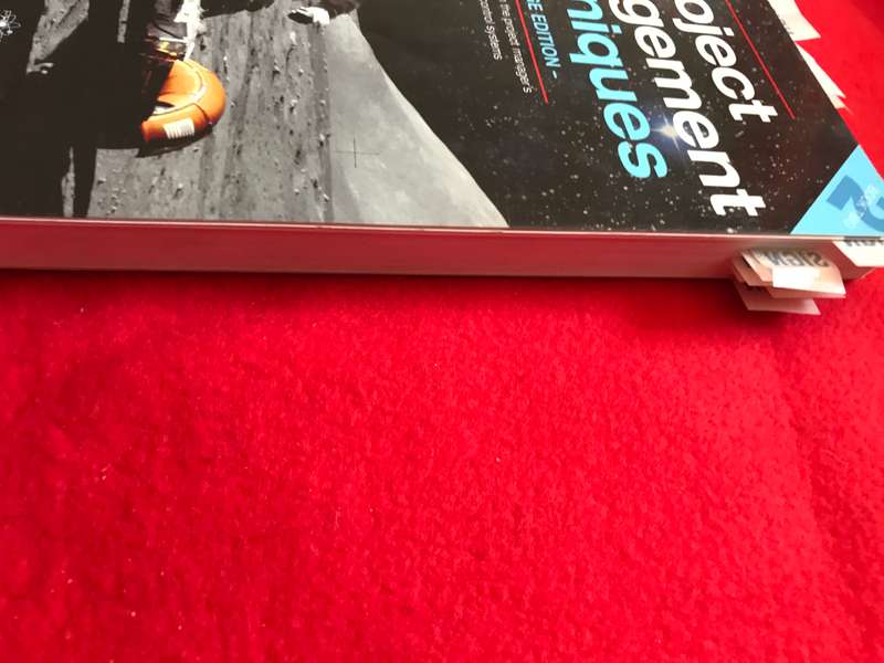Project Management Techniques Book by Rory Burke book 2 second edition