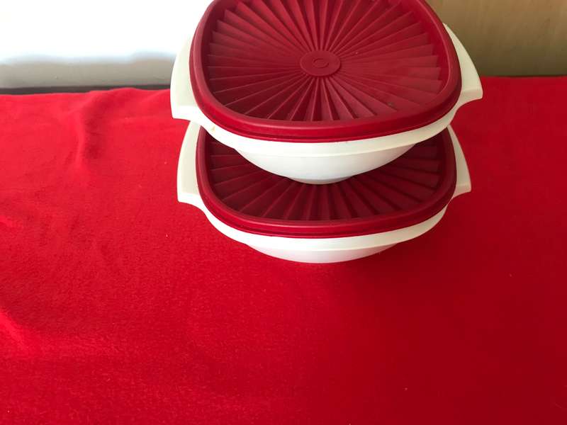 Tupperware Servalier Bowl Set of 2