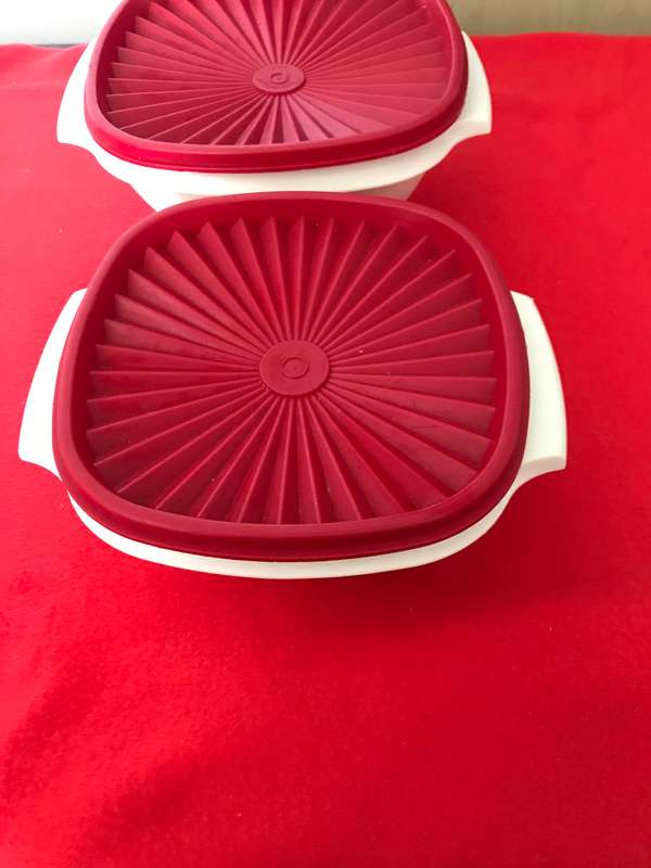 Tupperware Servalier Bowl Set of 2