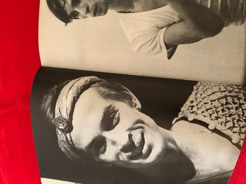 Book The Nureyev Image Alexander Bland