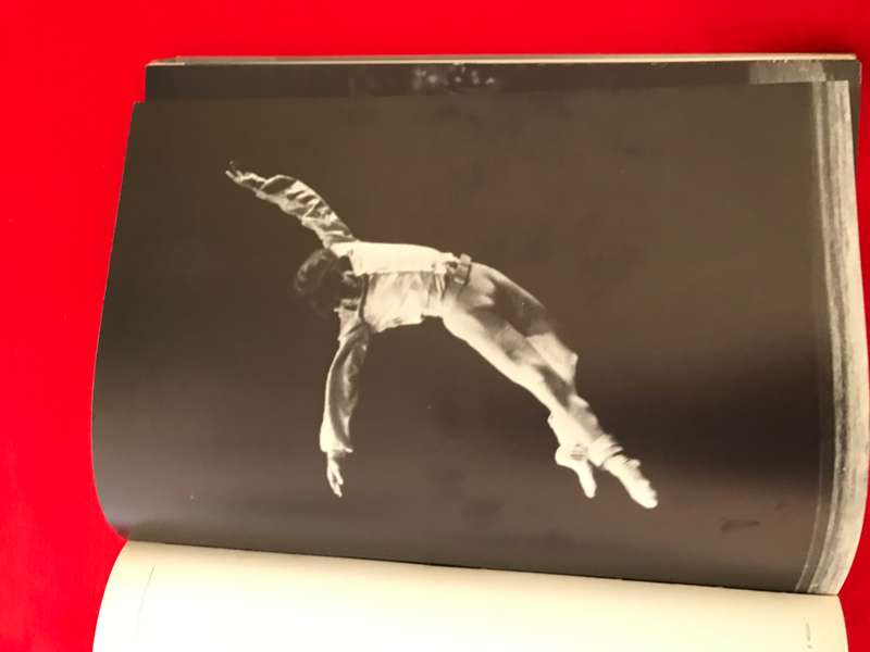 Book The Nureyev Image Alexander Bland