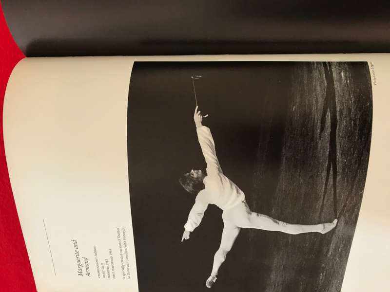 Book The Nureyev Image Alexander Bland