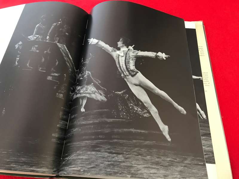 Book The Nureyev Image Alexander Bland