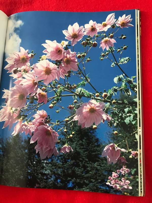 Gardening books Lot of 2 hardcover books