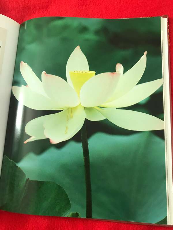 Gardening books Lot of 2 hardcover books