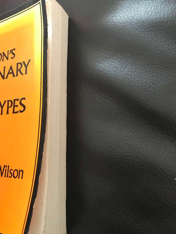 Wilson's Dictionary Of Bible Types, Walter Lewis Wilson