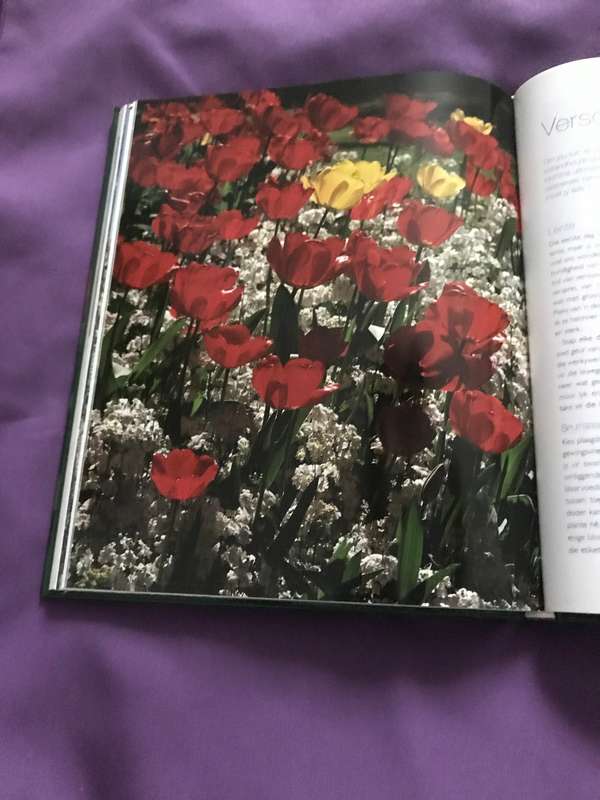 Lot 2: Tuin maak boeke