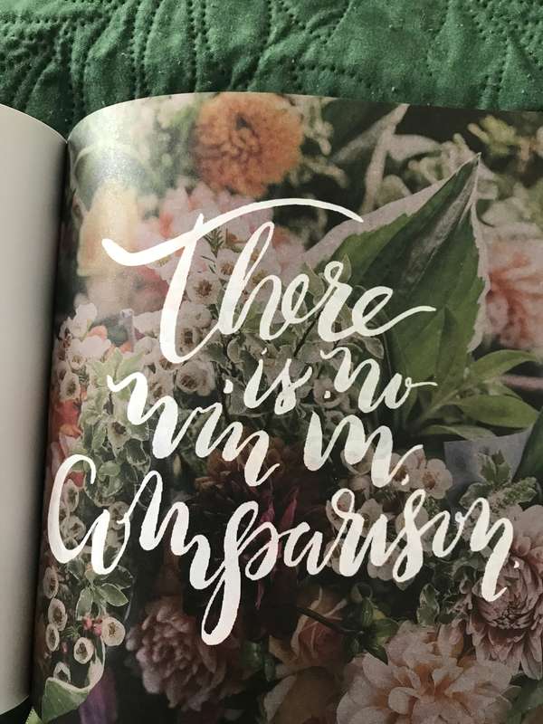 Comparison Trap: A 28-Day Devotional Sandra Stanley Deluxe Edition