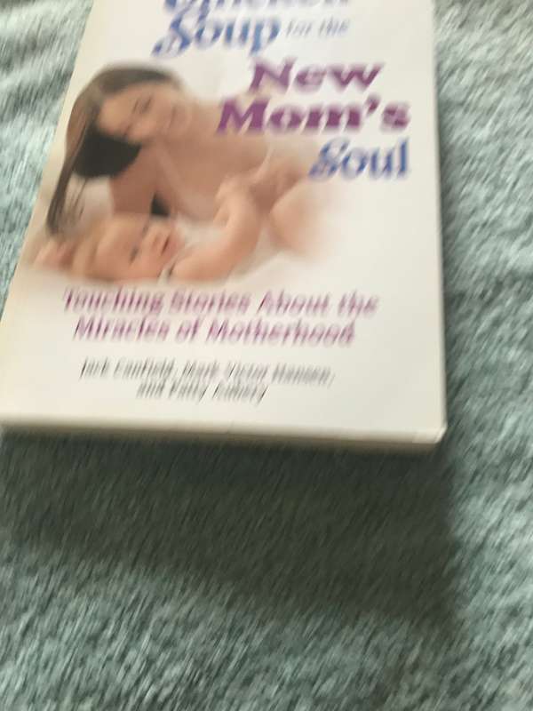 Chicken Soup for the New Moms soul