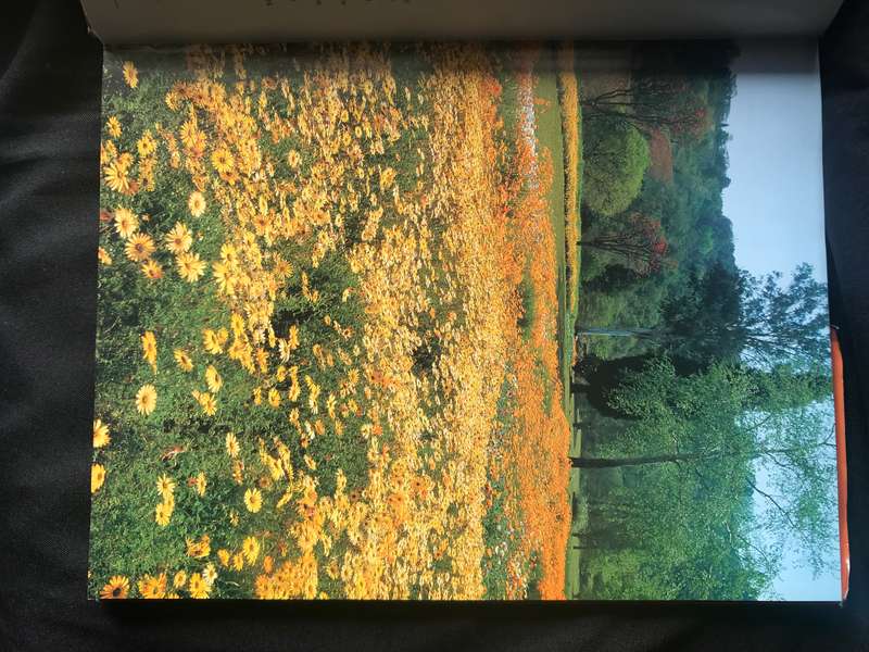 Indringerplante, Mooi, Maar Gevaarlik & Waterbesparende Inheemse Tuinmaak - 'n streekgids tot inheem