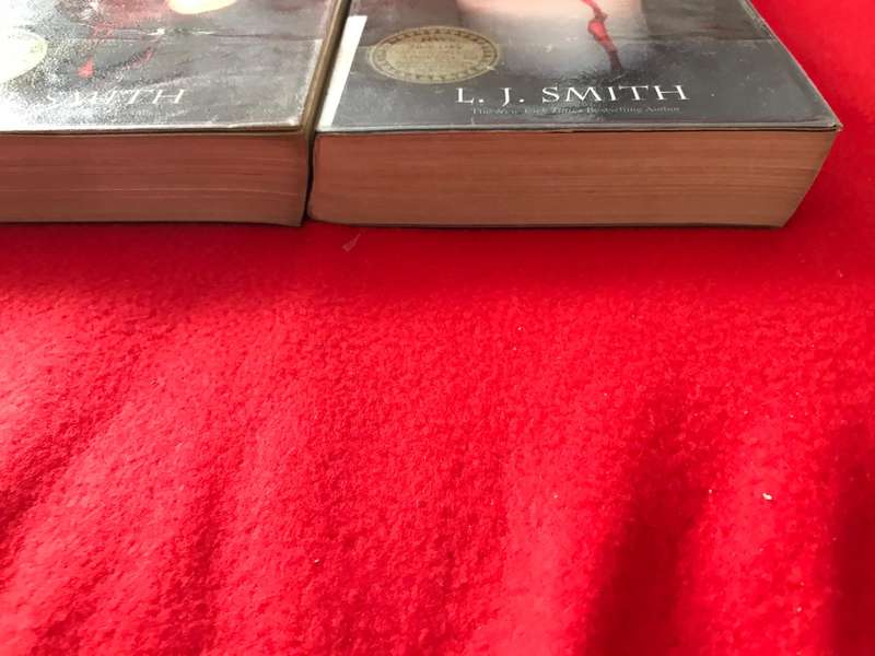 Vampire Diaries L.J Smith lot 2 books