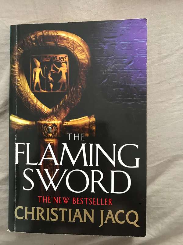 Lot 3 novels books