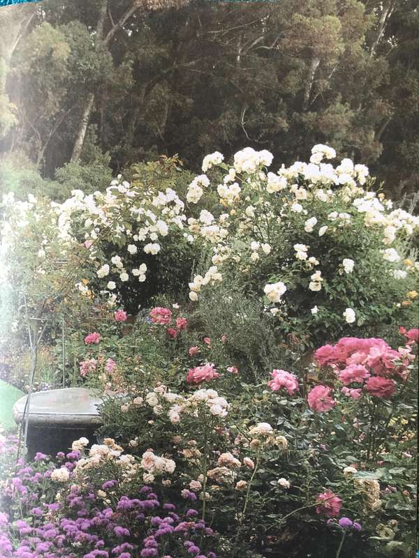 Complete Gardening In Southern Africa by Sheat, W.G. and South African Gardening month by month