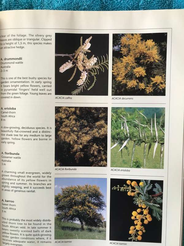 Complete Gardening In Southern Africa by Sheat, W.G. and South African Gardening month by month