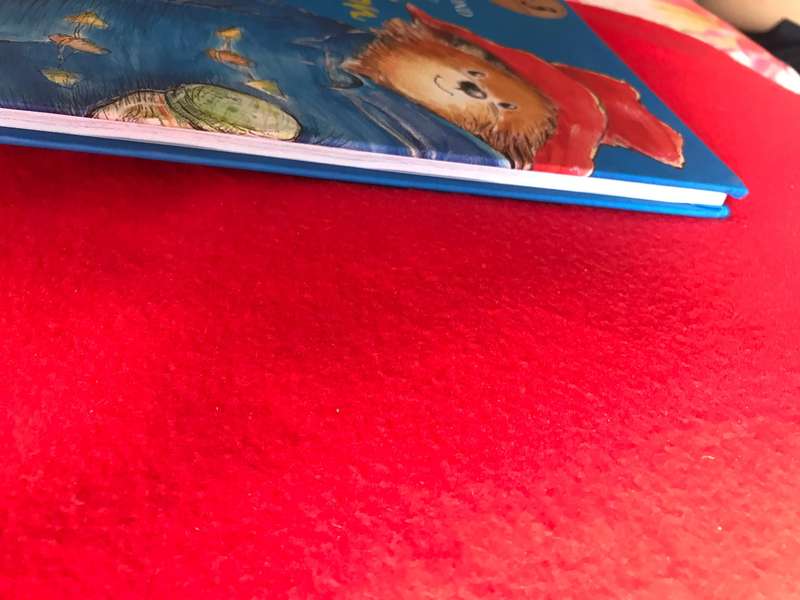 Paddington (Afrikaans boek)