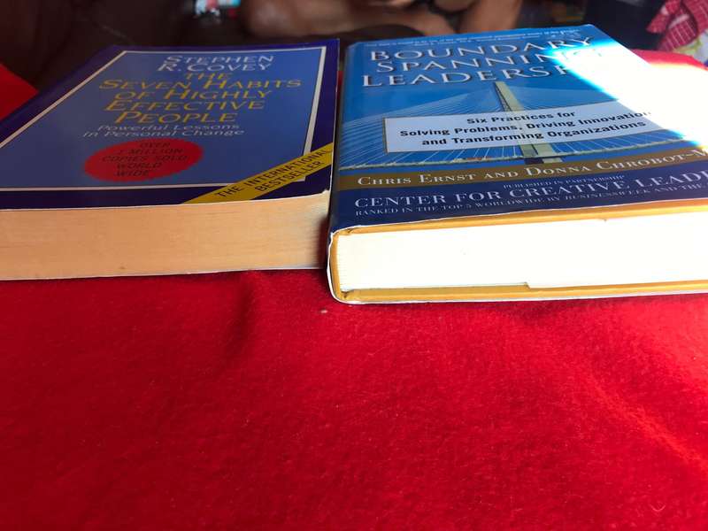 Boundary Spanning Leadership and The Seven Habits of highly effective people Lot 2 books