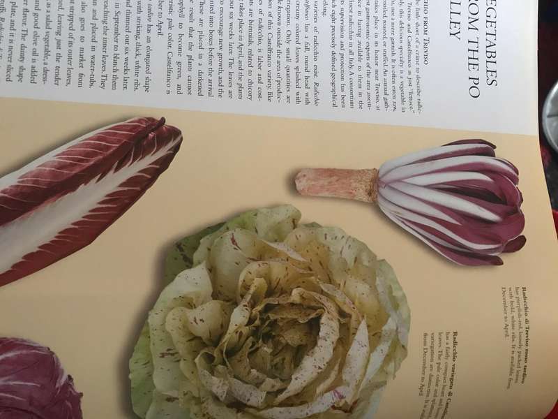 Culinaria Italy: Pasta, Pesto, Passion 496 pages