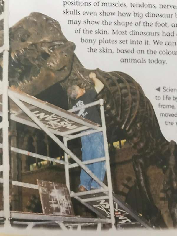 Oxford First Book of Dinosaurs with 3 dinosaurs  by Barbara Taylor
