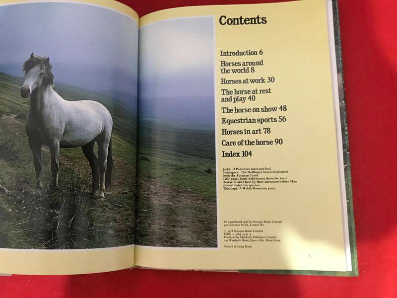 Ride With Your Mind Essentials: Innovative Learning Strategies for Basic Riding Skills & All Colour