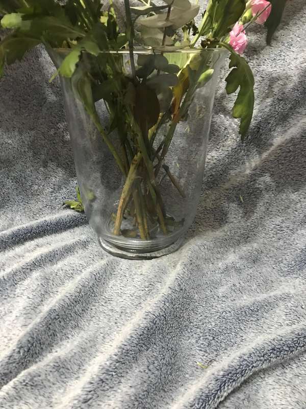 Huge Vase
