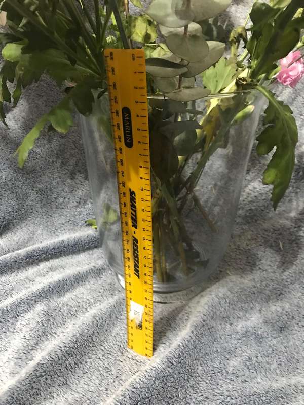 Huge Vase