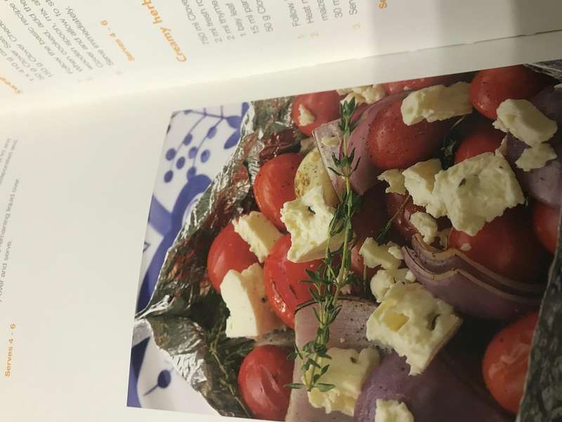 The Ultimate Outdoor Cookbook