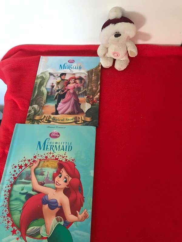 The Little Mermaid x 2 books and added fizzy moon bear 