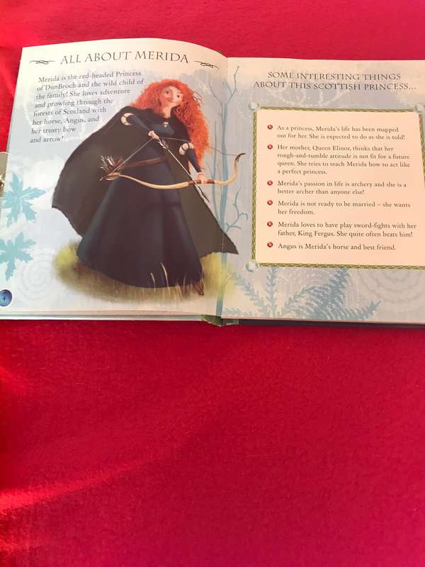 Meridas Book of Secrets, Disney Pixar, Brave metal heart padlock, key in envelope, beautiful journal