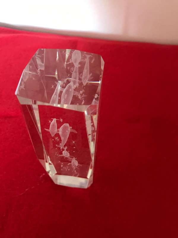 Laser Etched Glass Block Beveled PAPERWEIGHT 3D ORNAMENT Rectangle DOLPHINES 15cm