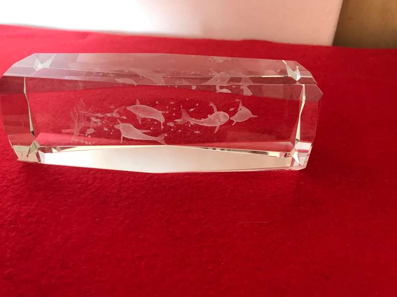 Laser Etched Glass Block Beveled PAPERWEIGHT 3D ORNAMENT Rectangle DOLPHINES 15cm
