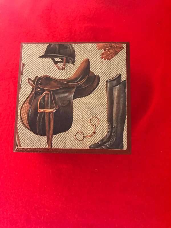 (horse) Riding School  by Saunders (Author) and jewelry box