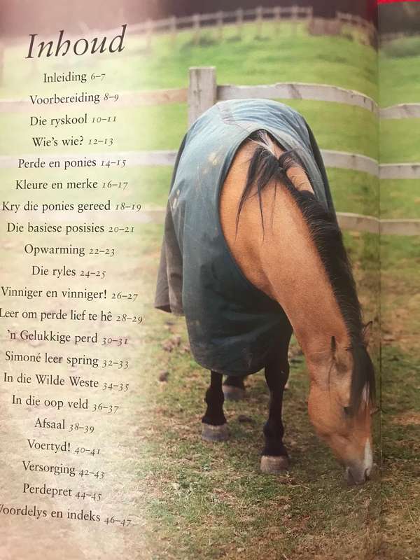 (horse) Riding School  by Saunders (Author) and jewelry box