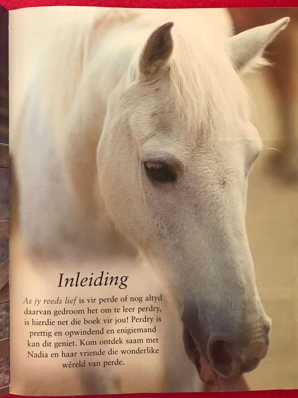 (horse) Riding School  by Saunders (Author) and jewelry box
