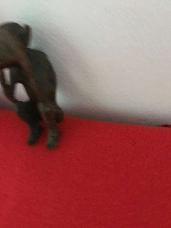 Monkeys  Statues In Wood and Hand crafted wooden Eagle 