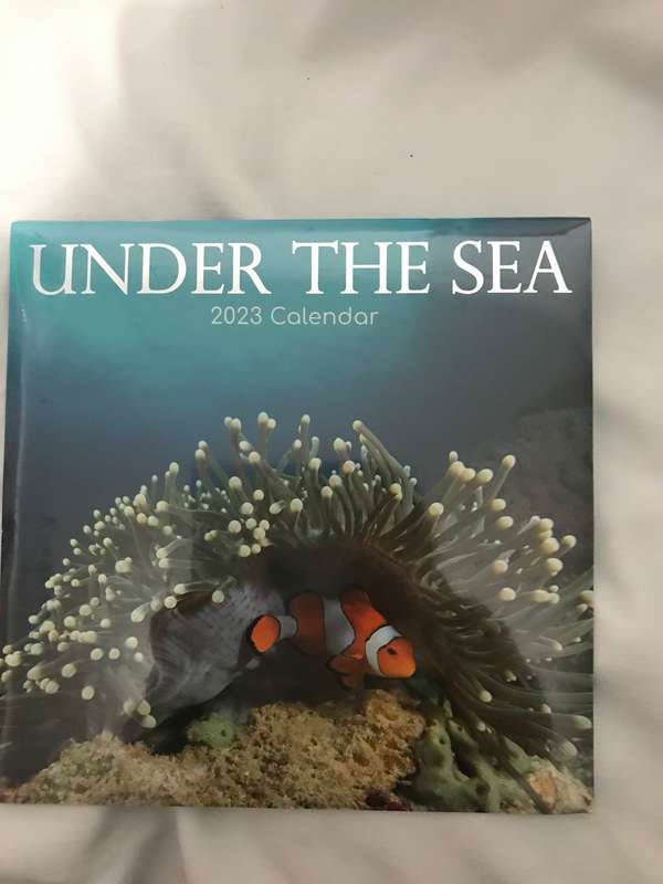 Under the Sea 2023 calendar Sealed new