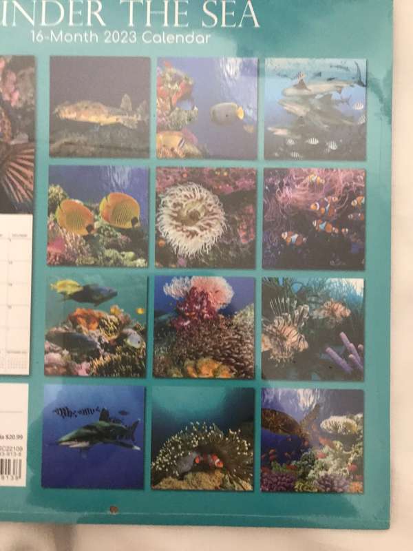 Under the Sea 2023 calendar Sealed new