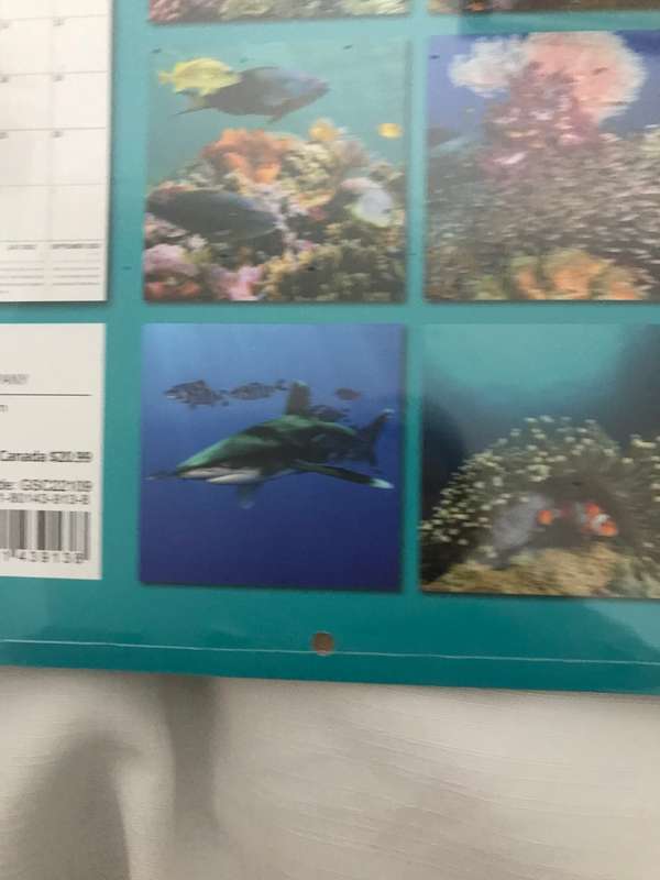 Under the Sea 2023 calendar Sealed new