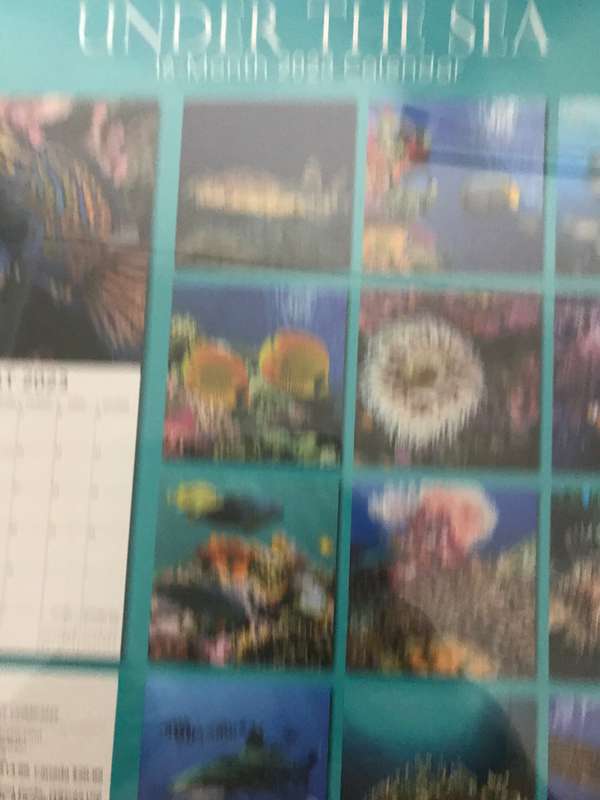 Under the Sea 2023 calendar Sealed new