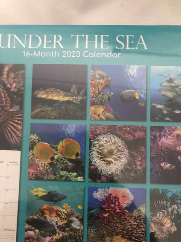 Under the Sea 2023 calendar Sealed new