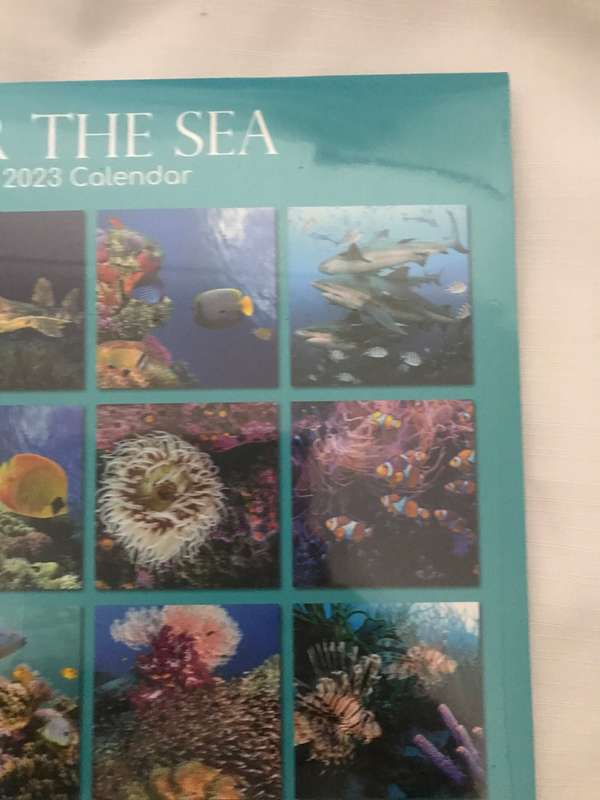 Under the Sea 2023 calendar Sealed new