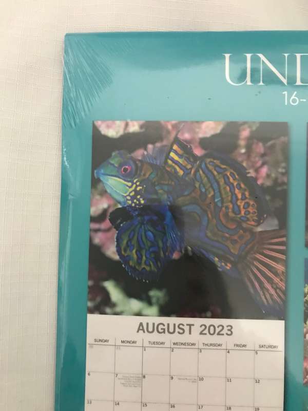 Under the Sea 2023 calendar Sealed new