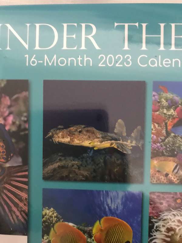 Under the Sea 2023 calendar Sealed new
