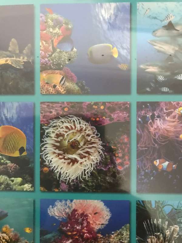 Under the Sea 2023 calendar Sealed new