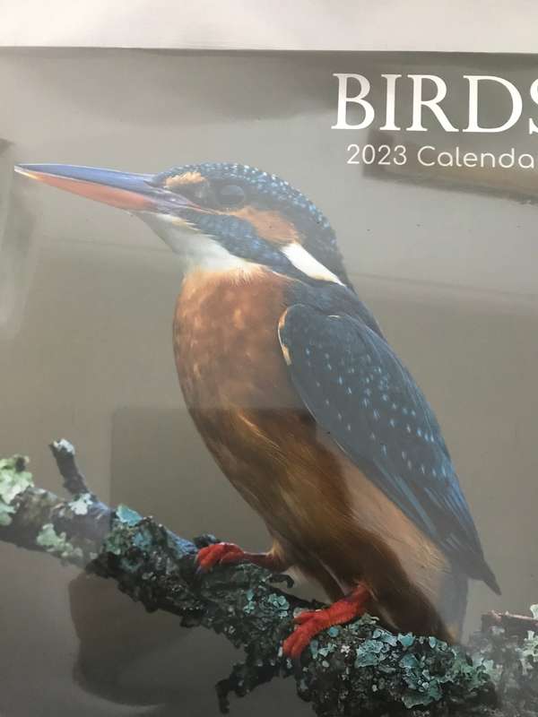 Birds Calendar 2023 Sealed