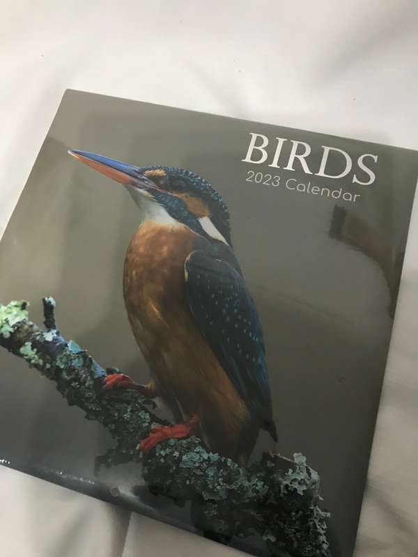 Birds Calendar 2023 Sealed