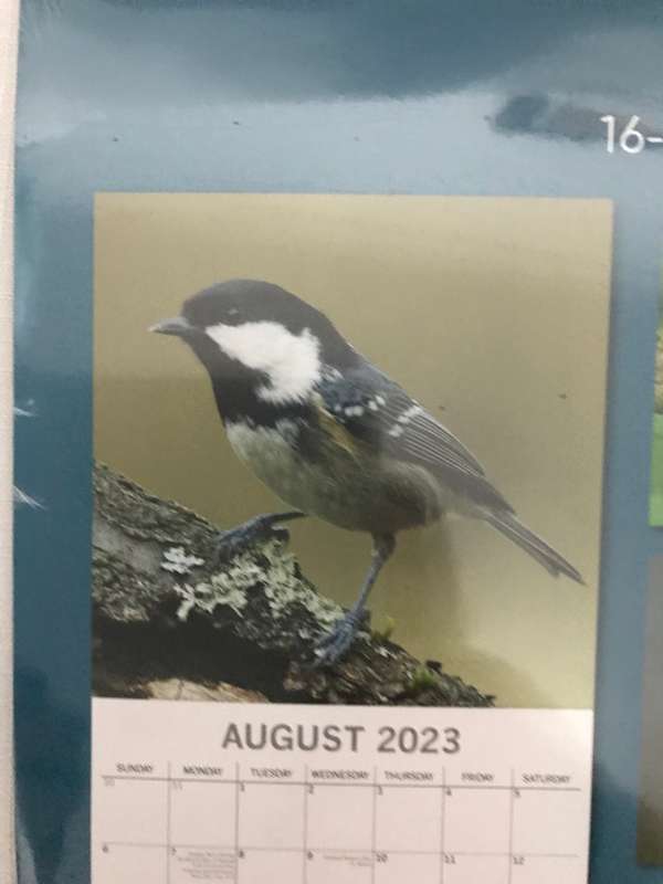 Birds Calendar 2023 Sealed