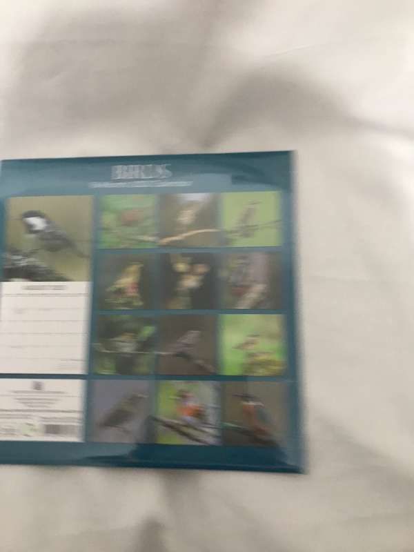 Birds Calendar 2023 Sealed