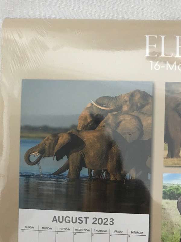 Elephants calendar 2023 Sealed New