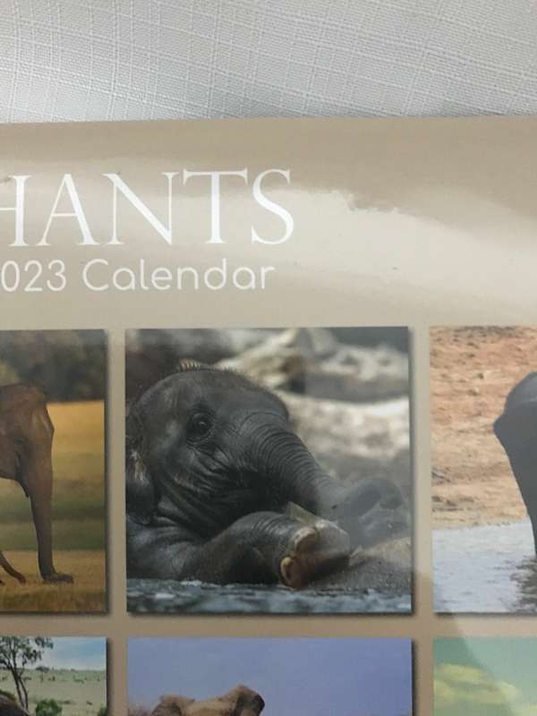 Elephants calendar 2023 Sealed New