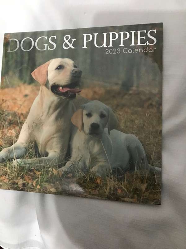 Dogs and Puppies calendar 2023 Sealed New